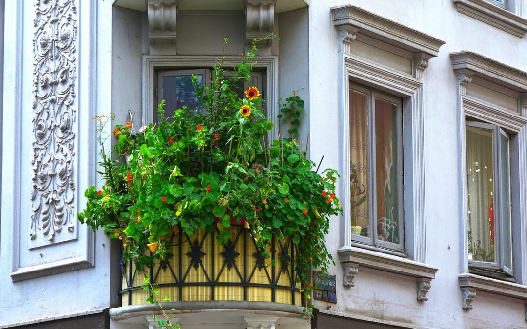 Pflanzen als Sichtschutz für Terrasse und Balkon | GARTEN ...