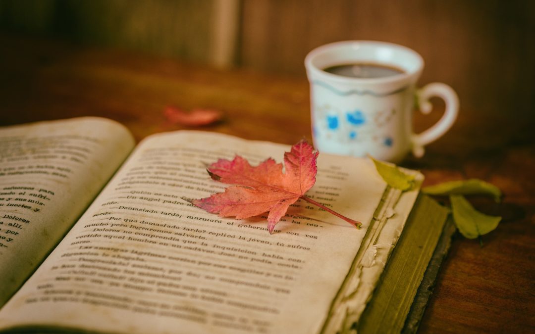 Vitrinen als Bücherregal nutzen | BAUKRAM | Bauratgeber