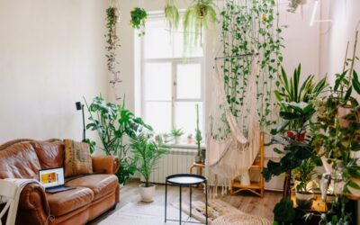 Besser leben im Boho-Style