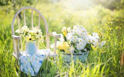 Nachhaltiger Gartenbau: Tipps und Trends für einen umweltfreundlichen Garten