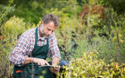 Gartenbau-Projekte: Wege, Teiche und Terrassen selbst anlegen