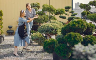 Gartentrends 2025: Von essbaren Landschaften bis zu klimafesten Pflanzen