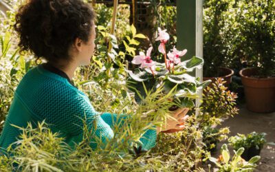 Regenerative Gärten: Nachhaltige Gestaltung für Biodiversität und Klimaschutz