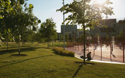 Klimawandel 2025: Hitze- und Starkregen-Gestaltung im Stadtgarten