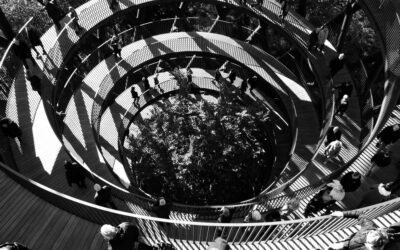Zirkuläres Bauen: Baustoffkreislauf in der Praxis