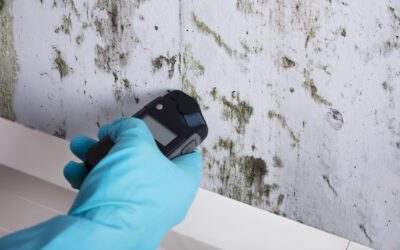 Feuchtigkeit in der Wand messen: Methoden, Ursachen und richtige Bewertung der Messergebnisse