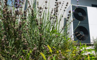 Energietechnik im Wandel: Wärmepumpenmarkt wächst, Photovoltaik verliert an Dynamik