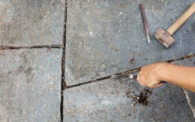 Wenn Pflastersteine verwittern: Flechten effektiv entfernen und vorbeugen