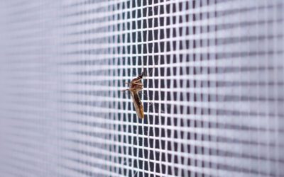 Fliegengitter richtig montieren und typische Fehler vermeiden