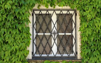 Wie wählt man Fenstergitter aus?