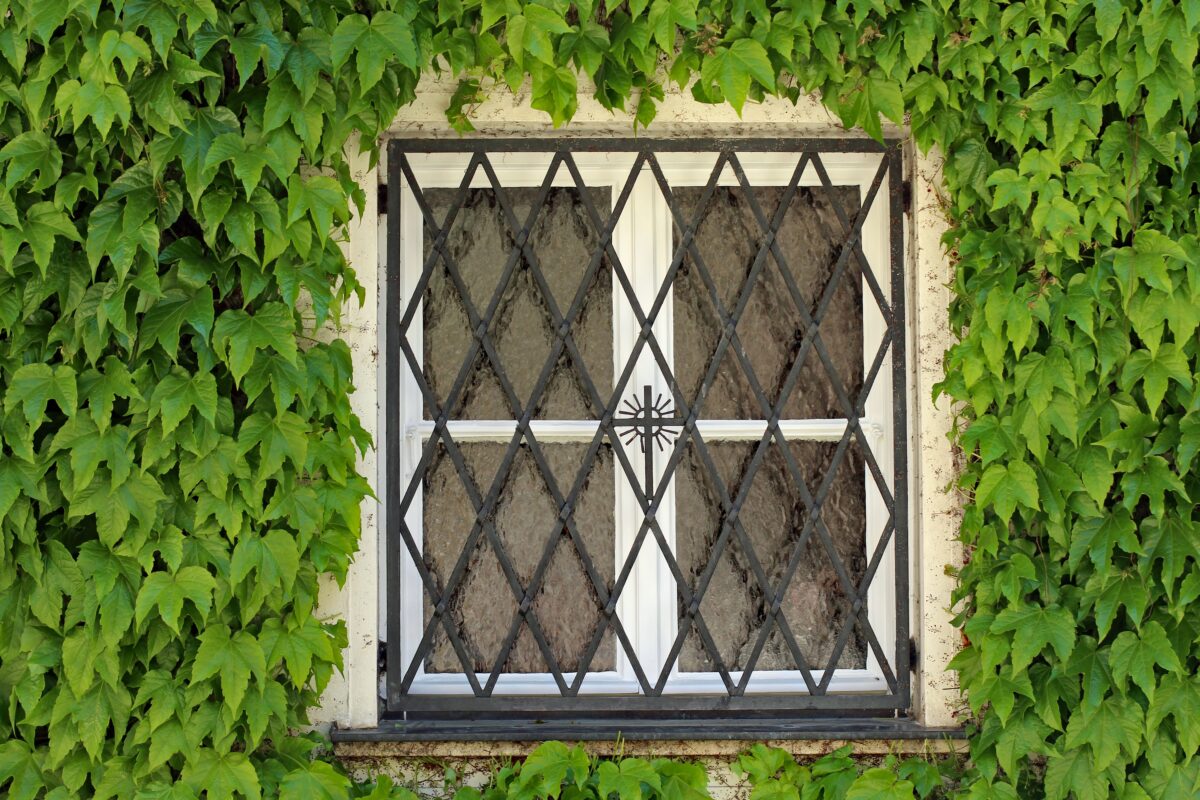 fenstergitter