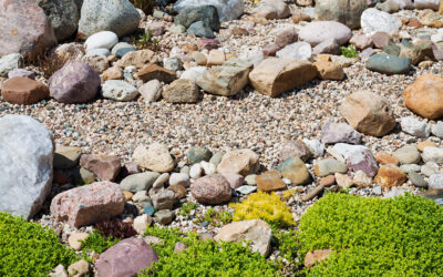 Schwammgarten statt Schotterfläche: So wird der Garten fit für Starkregen